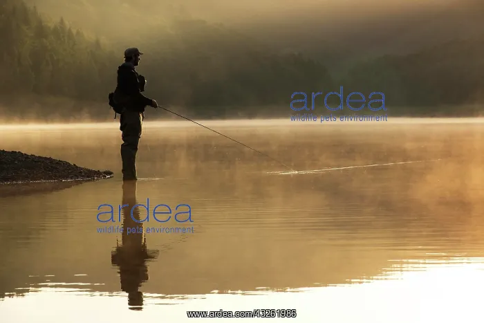 : A fly fisherman standing on the shore of the Obernau : A fly fisherman standing on the shore of the Obernau