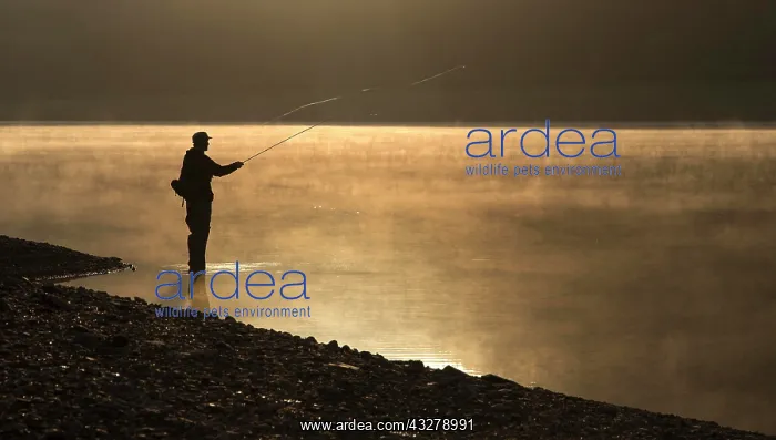 : A fly fisherman standing on the shore of the Obernau : A fly fisherman standing on the shore of the Obernau