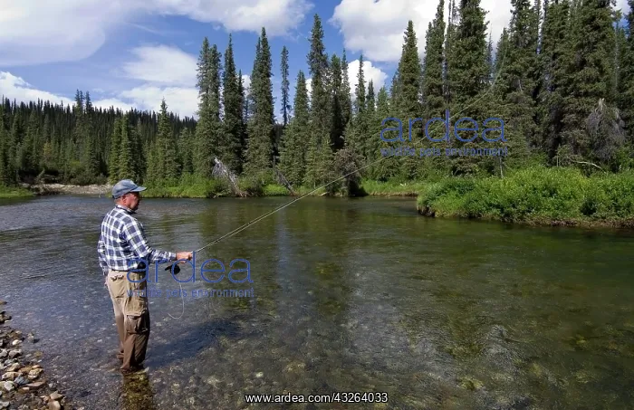 : Fly fishing fisherman, Liard River, British Columbia : Fly fishing fisherman, Liard River, British Columbia