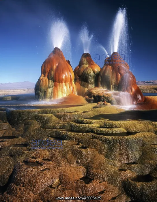 : Fly Ranch Geyser : Fly Ranch Geyser