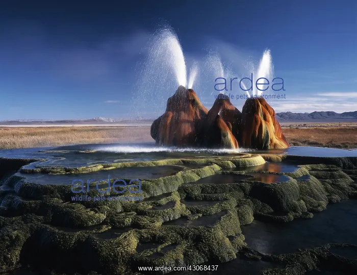  : Fly Ranch Geyser