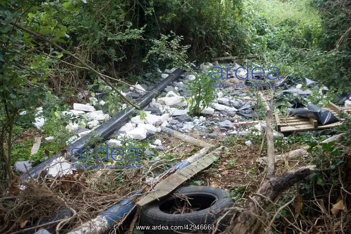 : Fly tipping builders rubbish dumped in hedge : Fly tipping builders rubbish dumped in hedge