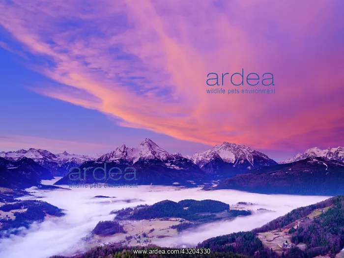 : Fog in the valley basin of Berchtesgaden, behind : Fog in the valley basin of Berchtesgaden, behind