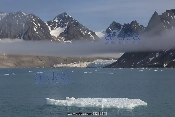 : Fog over the Waggonwayglacier at Magdalenefjord : Fog over the Waggonwayglacier at Magdalenefjord