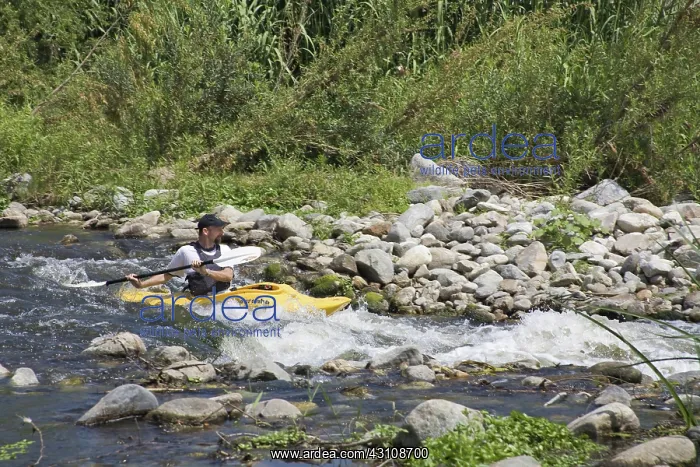 : FoLAR's annual River Cleanup : FoLAR's annual River Cleanup