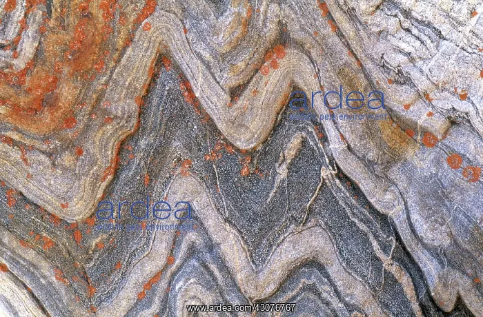 : Folded Granite : Folded Granite