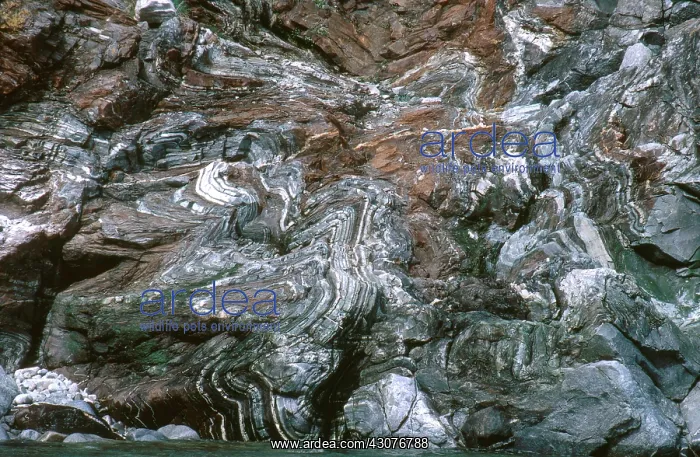 : Folded Rock with Anticline : Folded Rock with Anticline