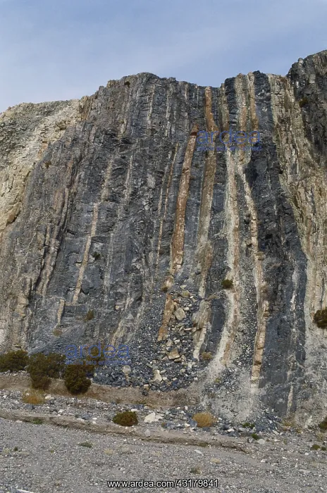 : Folded Rocks in Death Valley : Folded Rocks in Death Valley
