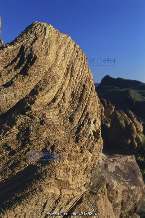 : Folded Rocks in Texas : Folded Rocks in Texas