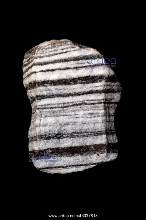 : Foliated Gneiss metamorphic rock : Foliated Gneiss metamorphic rock
