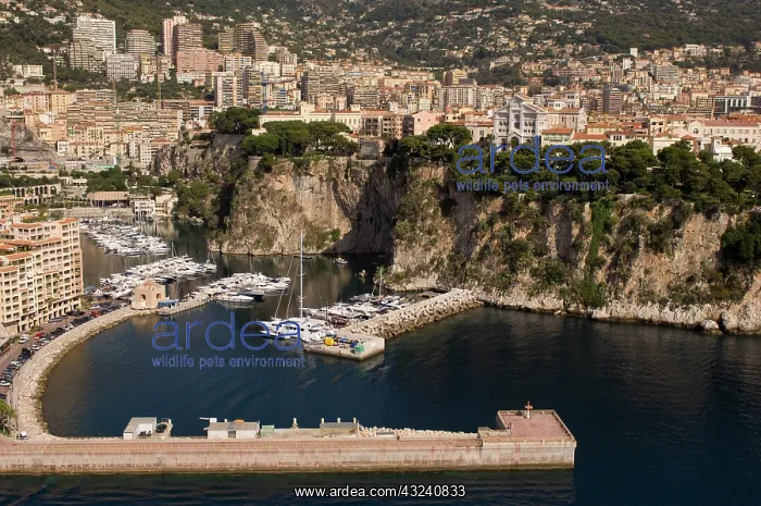: Fontvieille harbour and Monaco, View from : Fontvieille harbour and Monaco, View from
