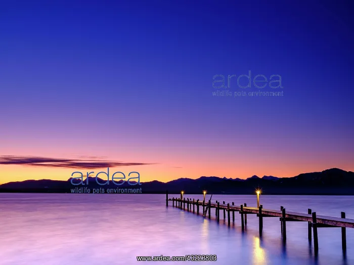 : Footbridge at Chiemsee at dawn, behind the Chiemgau : Footbridge at Chiemsee at dawn, behind the Chiemgau