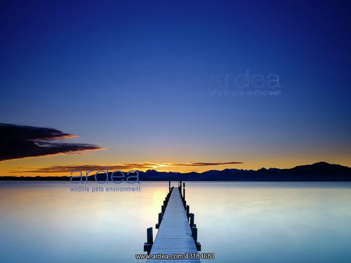 : Footbridge at Chiemsee at sunrise, behind the Chiemgau : Footbridge at Chiemsee at sunrise, behind the Chiemgau