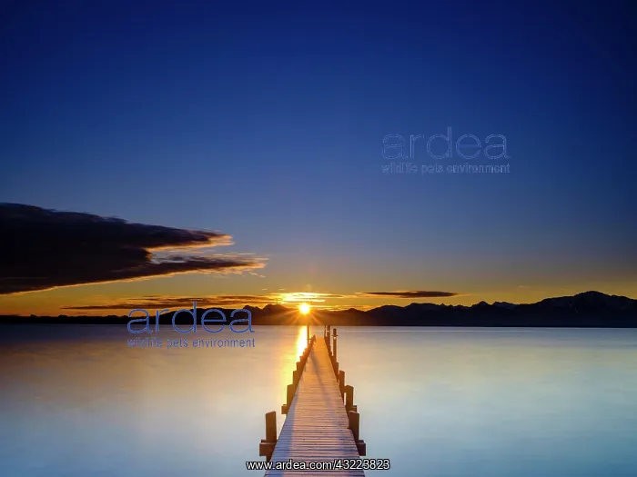 : Footbridge at Chiemsee at sunrise, behind the Chiemgau : Footbridge at Chiemsee at sunrise, behind the Chiemgau