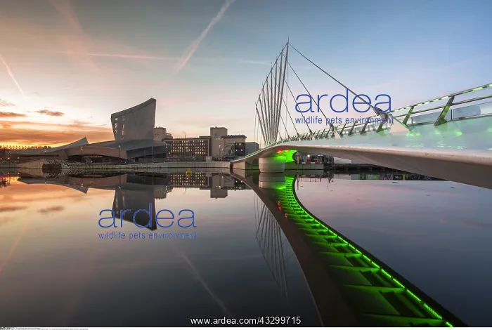 : The Footbridge and Imperial War Museum at Media : The Footbridge and Imperial War Museum at Media