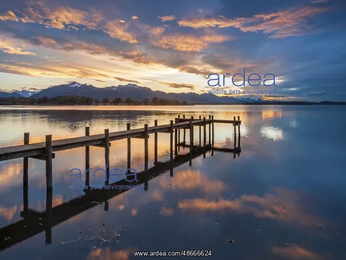 : Footbridge on Lake Chiemsee at sunset, with the Chiemgau : Footbridge on Lake Chiemsee at sunset, with the Chiemgau