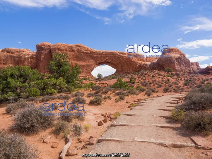: Footpath to the rocks of the Windows Section, Arches : Footpath to the rocks of the Windows Section, Arches