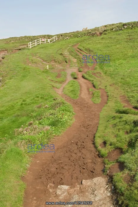 : Footpath - worn cliff path : Footpath - worn cliff path