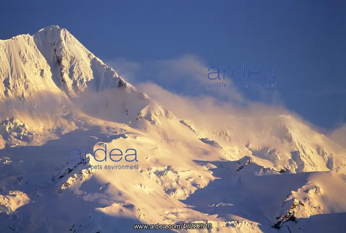 : The Footstool, Mount Sefton, Mount Cook : The Footstool, Mount Sefton, Mount Cook