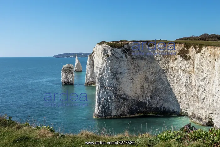 : The Foreland - or Handfast Point - Dorset - UK : The Foreland - or Handfast Point - Dorset - UK