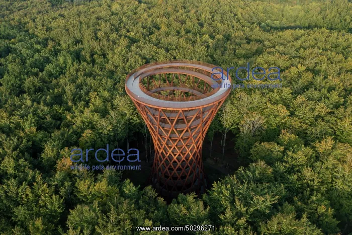 : Forest tower : Forest tower