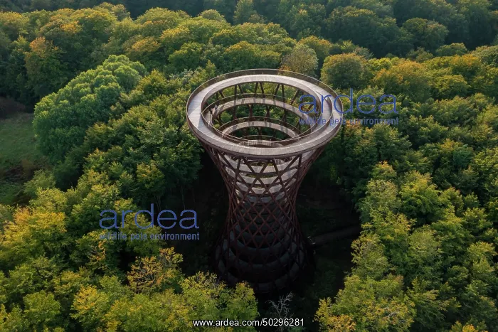 : Forest tower : Forest tower