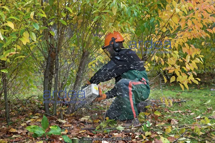  : Forester  /  Tree Surgeon