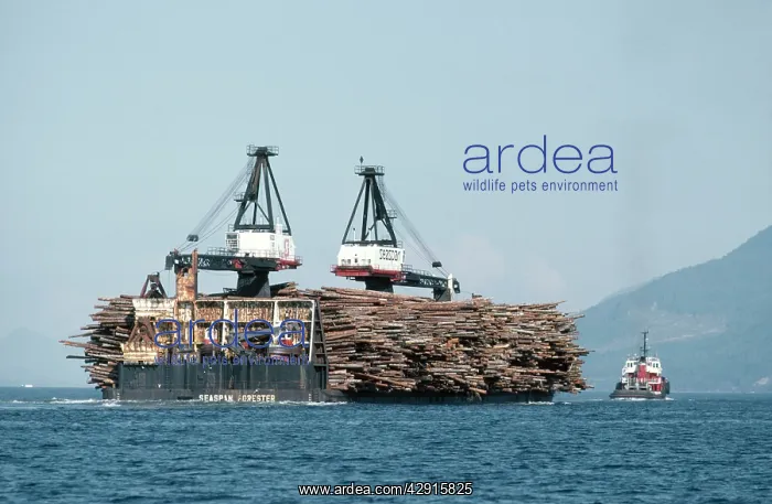  : FORESTRY - Logs on barge
