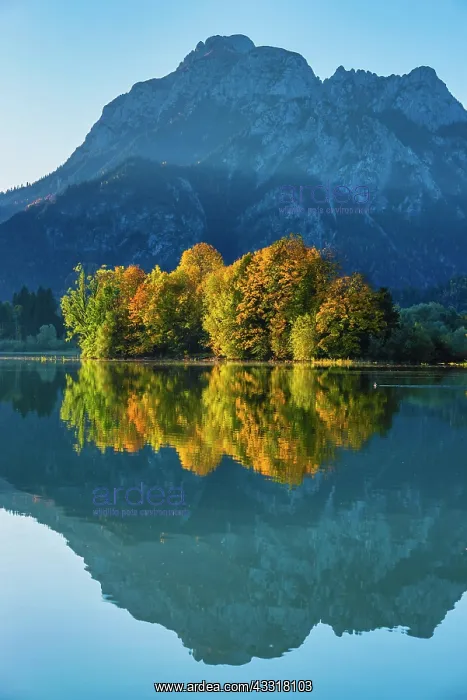 : Forggensee in autumn, behind it the Sauling, Ammergau : Forggensee in autumn, behind it the Sauling, Ammergau