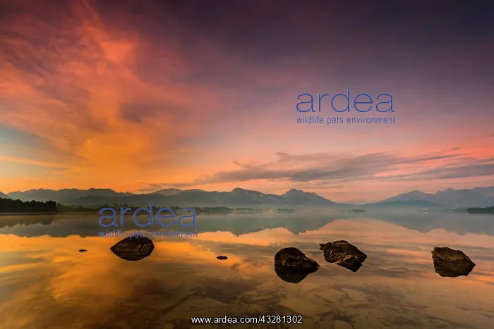 : Forggensee with reflection of the cloudy sky and : Forggensee with reflection of the cloudy sky and