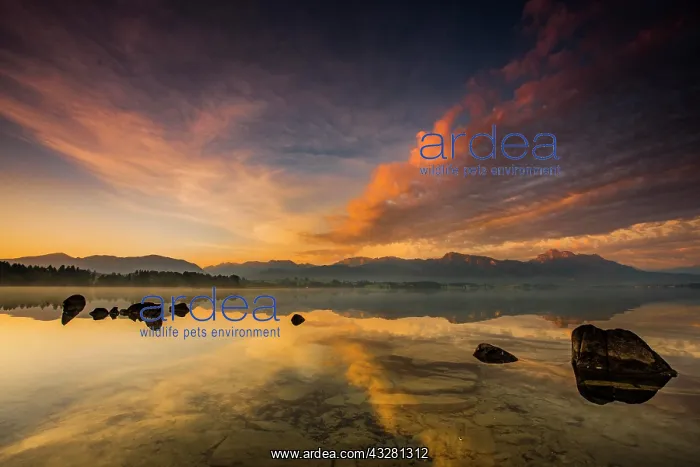 : Forggensee with reflection of the cloudy sky and : Forggensee with reflection of the cloudy sky and