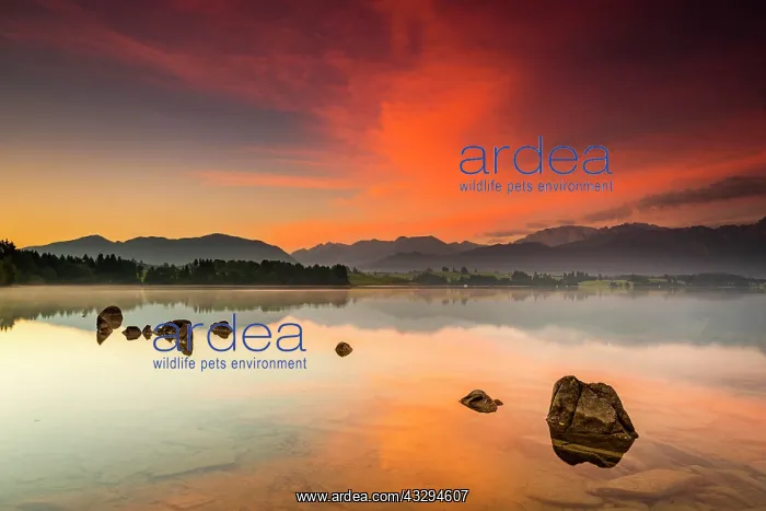 : Forggensee with reflection of the cloudy sky and : Forggensee with reflection of the cloudy sky and