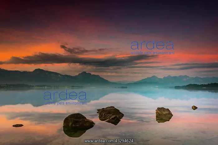 : Forggensee with reflection of the cloudy sky and : Forggensee with reflection of the cloudy sky and