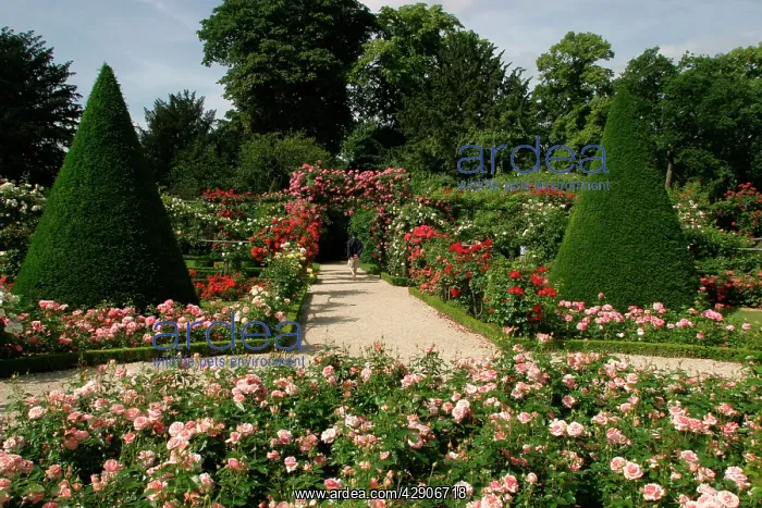 : Formal Gardens - Bagatelle's Park : Formal Gardens - Bagatelle's Park