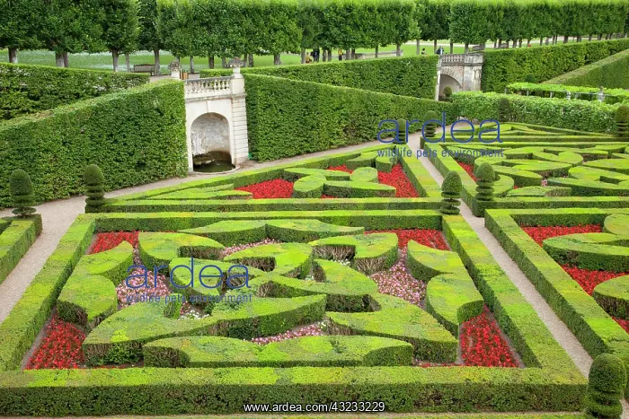 : Formal gardens of Chateau Villandry near : Formal gardens of Chateau Villandry near