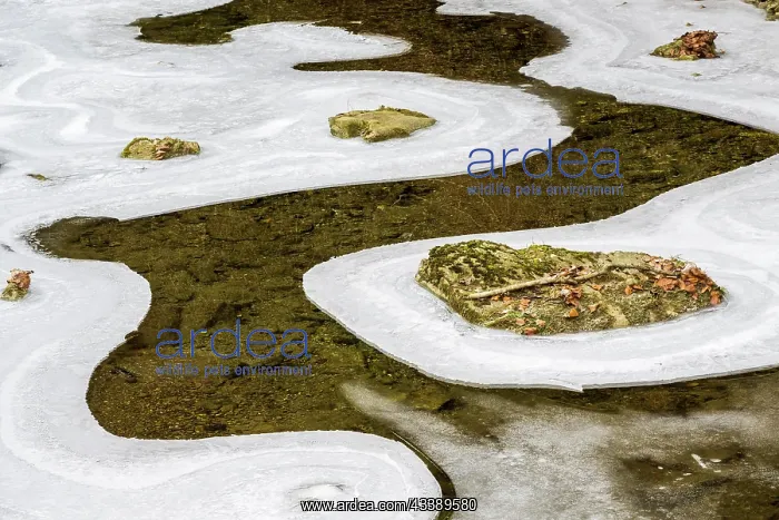 : Forms and structures of ice on water, Raabklamm : Forms and structures of ice on water, Raabklamm