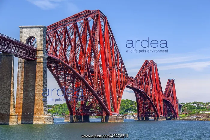 : Forth Bridge - famous rail bridge over the Firth : Forth Bridge - famous rail bridge over the Firth