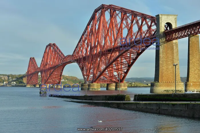 : Forth Bridge, railway bridge over the Firth of Forth : Forth Bridge, railway bridge over the Firth of Forth