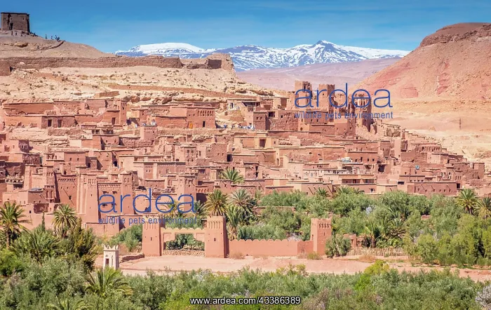 : Fortified village and clay houses of an ancient s : Fortified village and clay houses of an ancient s