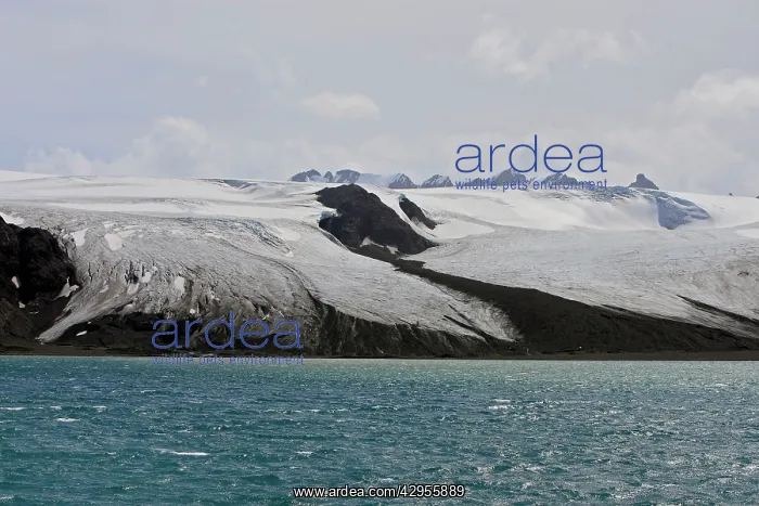  : Fortuna Bay