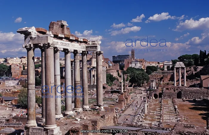 : Forum Romanum, Italien, Rom | Forum Romanum, Italy : Forum Romanum, Italien, Rom | Forum Romanum, Italy