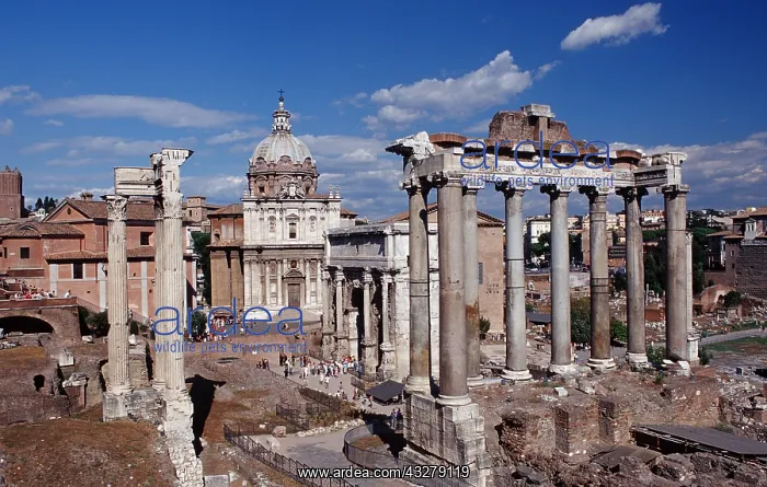 : Forum Romanum, Italien, Rom | Forum Romanum, Italy : Forum Romanum, Italien, Rom | Forum Romanum, Italy