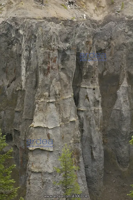 : Fossil Fumaroles : Fossil Fumaroles
