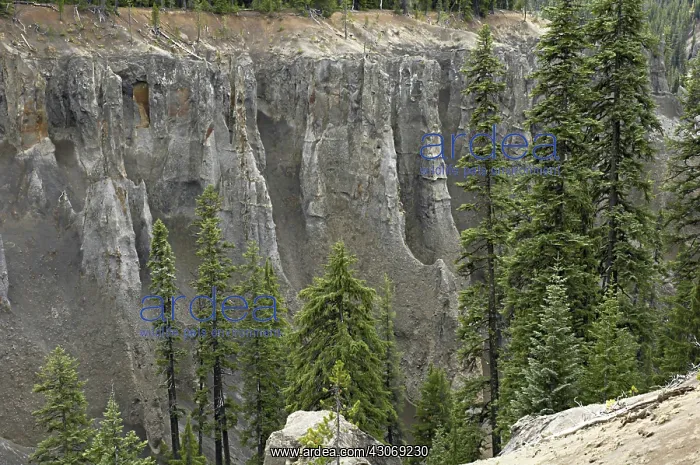 : Fossil Fumaroles : Fossil Fumaroles