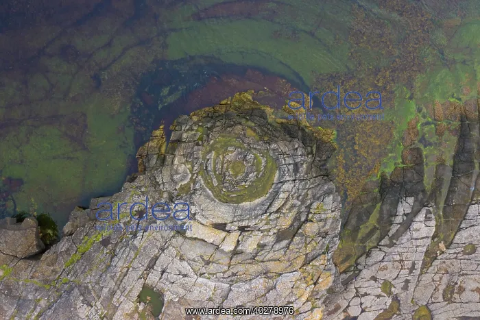 : Fossil sand volcano Praestens badkar near Vik at the Baltic : Fossil sand volcano Praestens badkar near Vik at the Baltic