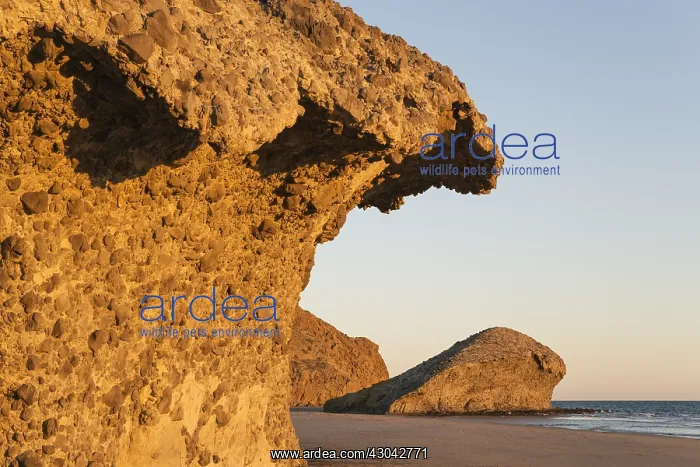 : Fossilized lava tongues and walls at the beach Playa : Fossilized lava tongues and walls at the beach Playa