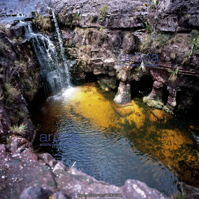: Fosso (Sinkhole), summit of Mount Roraima (Cerro Roraima) : Fosso (Sinkhole), summit of Mount Roraima (Cerro Roraima)
