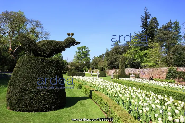  : The Fountain of Love at Cliveden Buckinghamshire England on