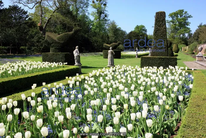 : The Fountain of Love at Cliveden Buckinghamshire England on : The Fountain of Love at Cliveden Buckinghamshire England on