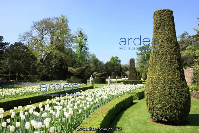 : The Fountain of Love at Cliveden Buckinghamshire England on : The Fountain of Love at Cliveden Buckinghamshire England on